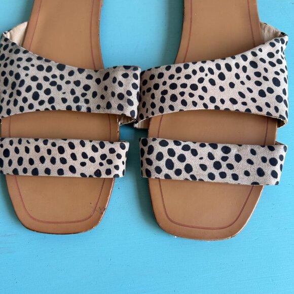 Dolce Vita DV Leopard Print Bryn Asymmetrical Slide Sandals Size 8.5 - Picture 7 of 11